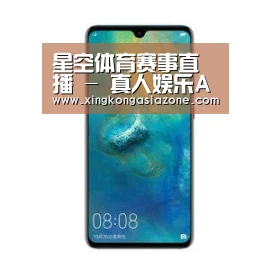 华为无线快充手机