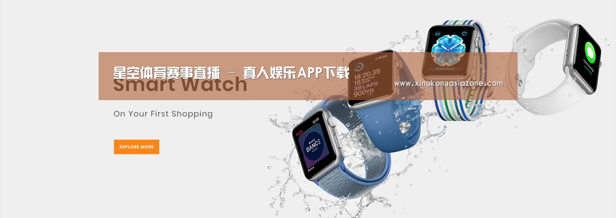 某某网络科技有限公司
