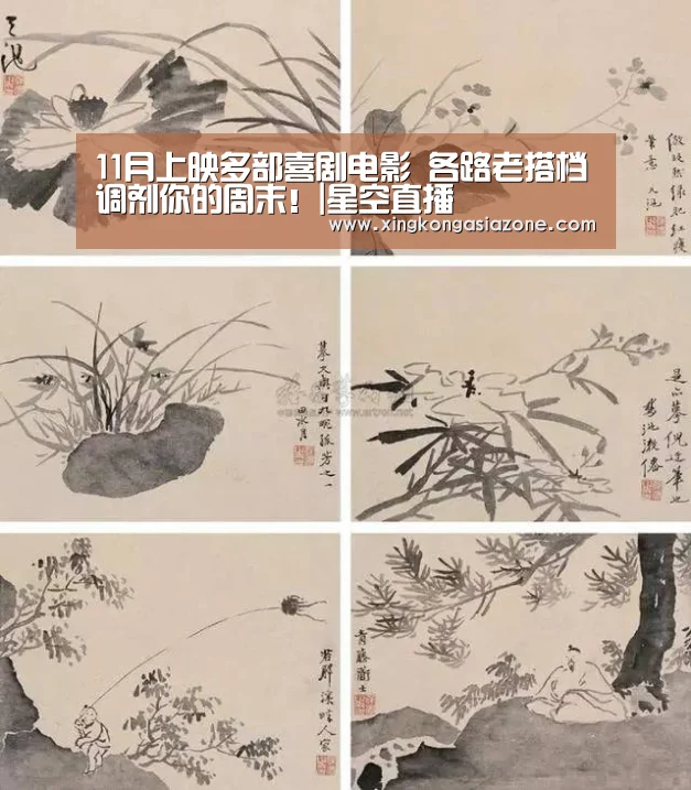 11月上映多部喜剧电影 各路老搭档调剂你的周末!|星空直播(图1) 星空官网