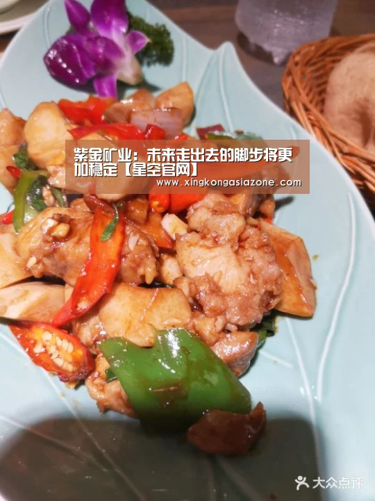紫金矿业:未来走出去的脚步将更加稳定【星空官网】(图1) 星空下载
