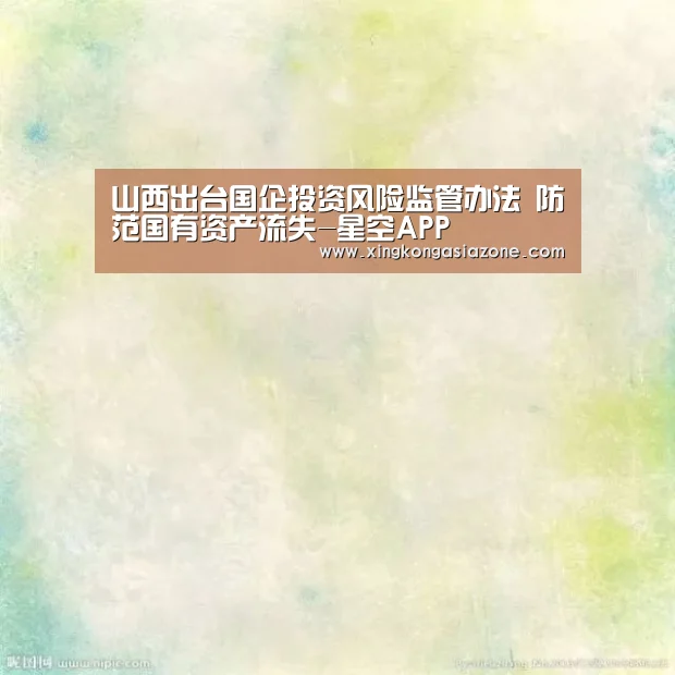 山西出台国企投资风险监管办法 防范国有资产流失-星空APP(图2) 星空APP