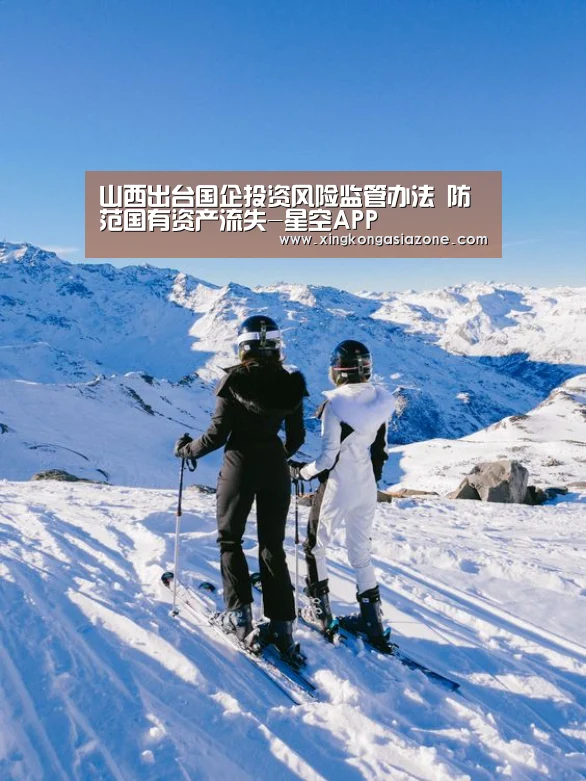 山西出台国企投资风险监管办法 防范国有资产流失-星空APP(图3) 星空直播
